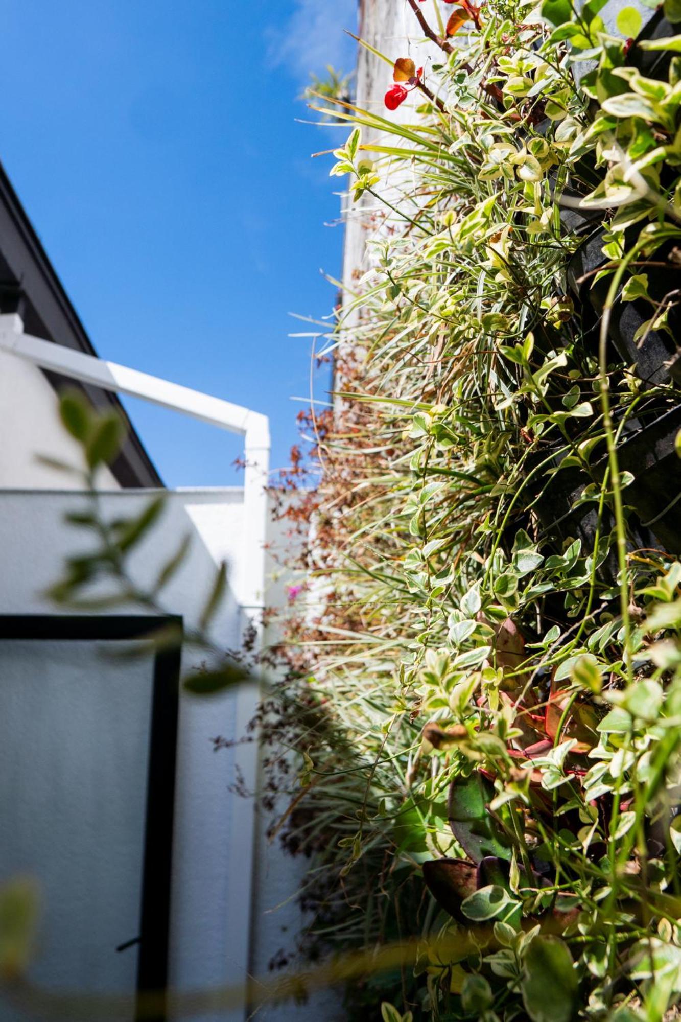 Hotel Piedras De Mani マニサレス エクステリア 写真